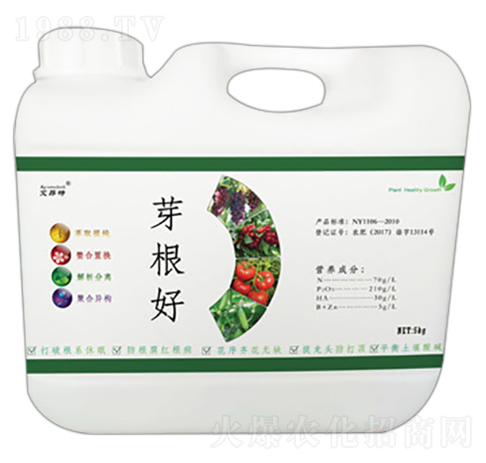 ѿ����-������