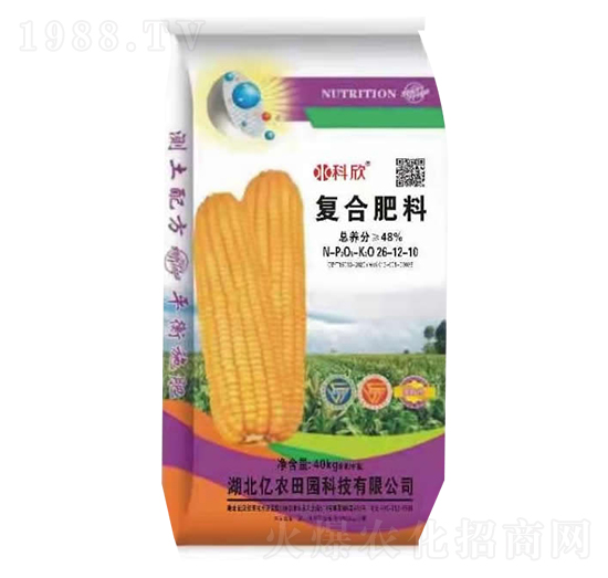 �ͺϷ���26-12-10-�|�r��@