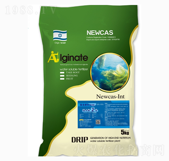 ������ͺϷ���-�~����2̖-���r�W��