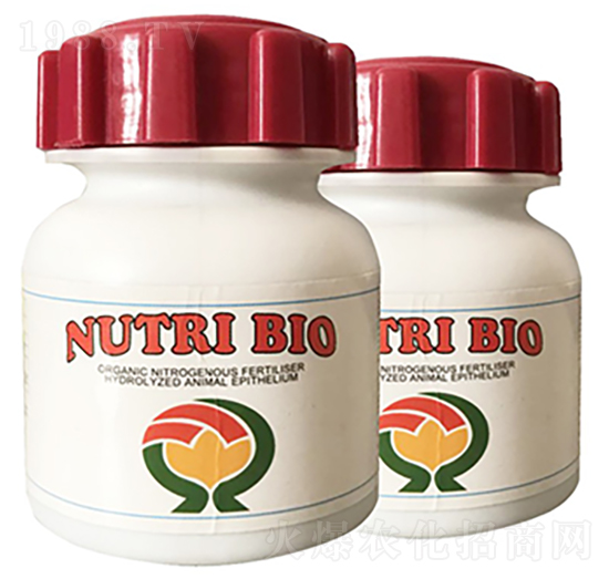 ������I���~���-����ʿ