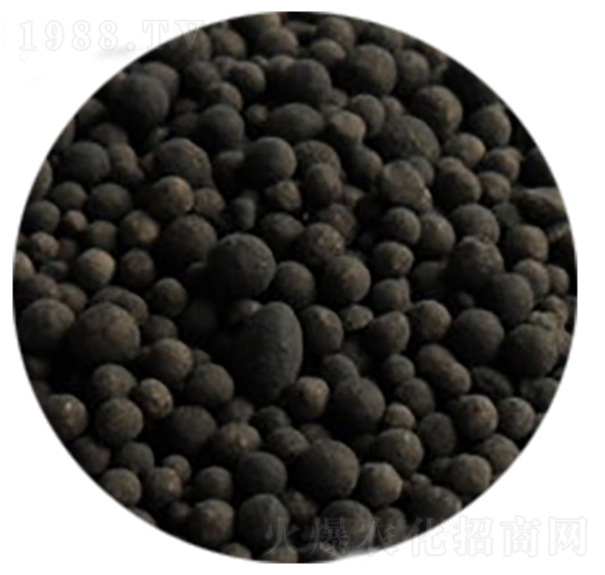 �����ЙC�ʴ��w��-�����S