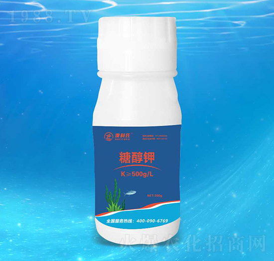 �Ǵ��-�Ŀ���