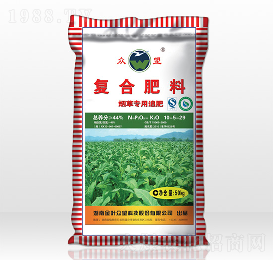 ���݌���׷��10-5-29-����