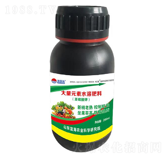 �������-�{��