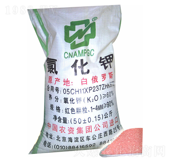 �Ȼ��-���r(n��ng)�r(n��ng)�Y