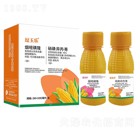 �����������݄��M�����b-����-���r�I(y��)