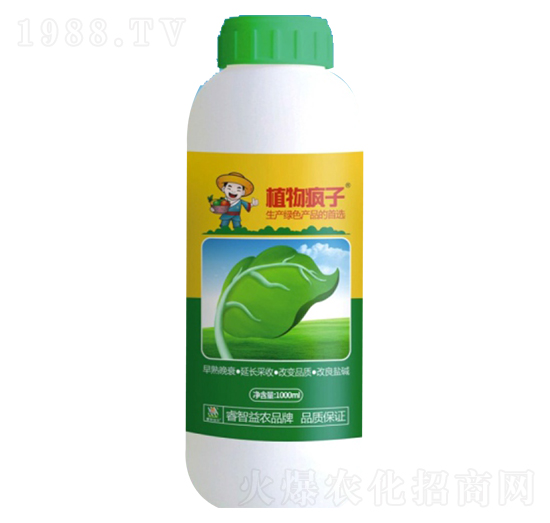 ֲ�﯂��-������r