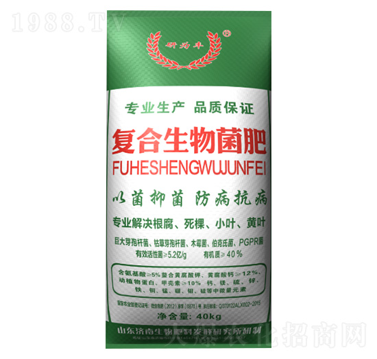 �ͺ��������-����