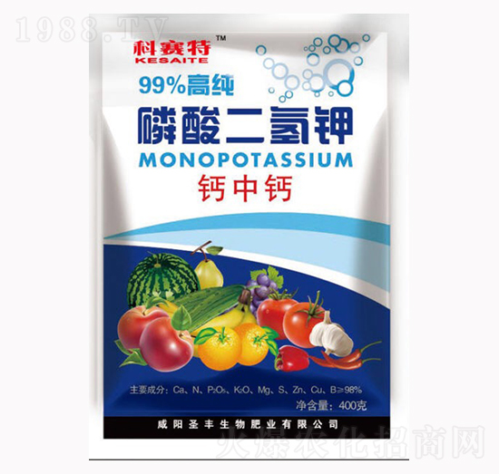 ��������-��ِ��-ʥ�S