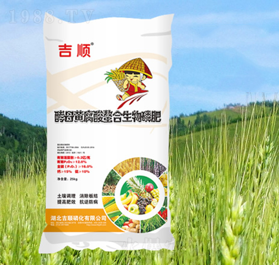 ��ĸ�S�������������׷�-���