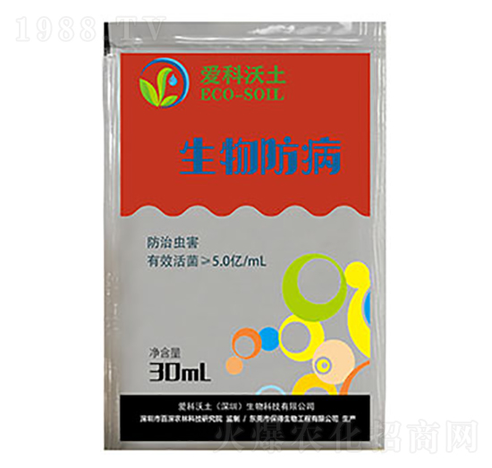 �������-�ۿ�����