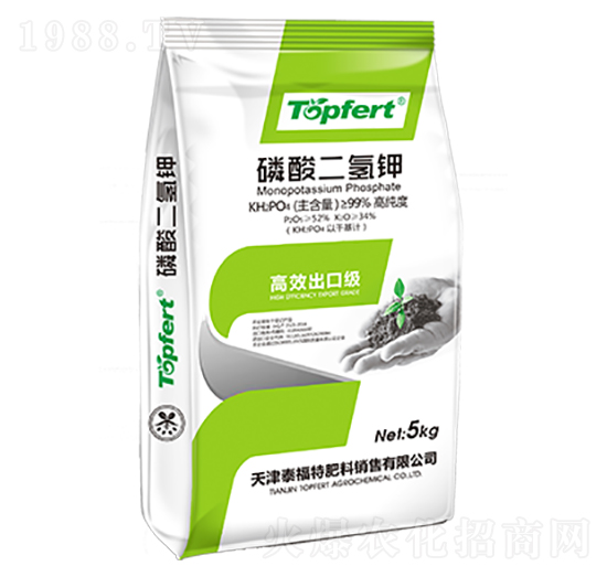 ��������-̩���ط���