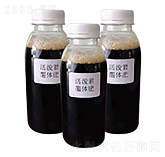 ������w��-�S��