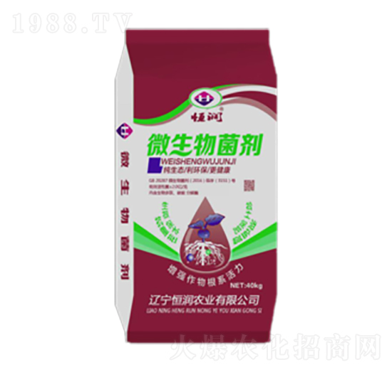 ΢�������-�㝙�r�I(y��)