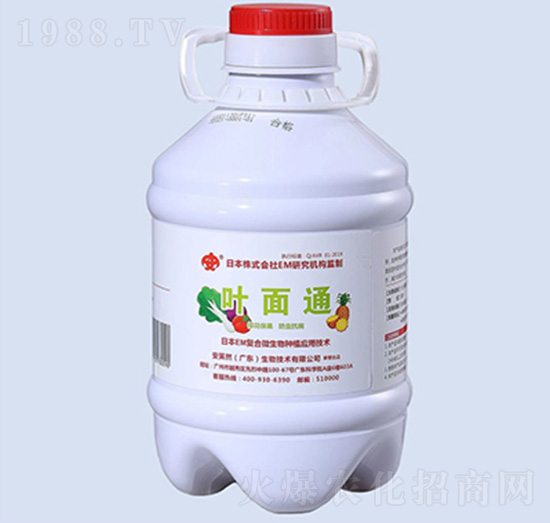 �~��ͨ-��ЦȻ