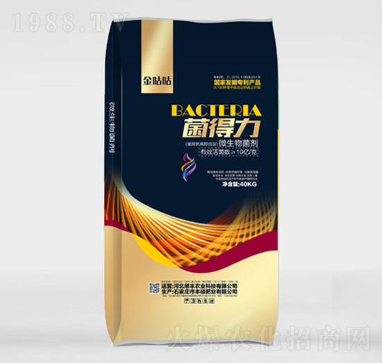 10�|���΢�������-������-�S�T���r(n��ng)