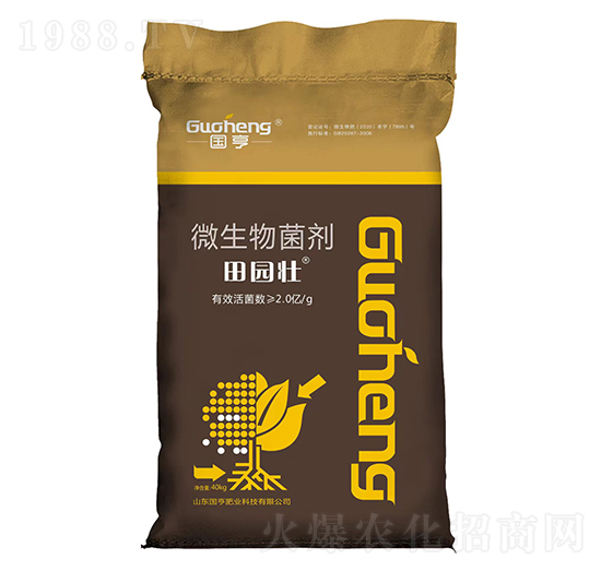 ΢�������-��@��-����ʘI(y��)