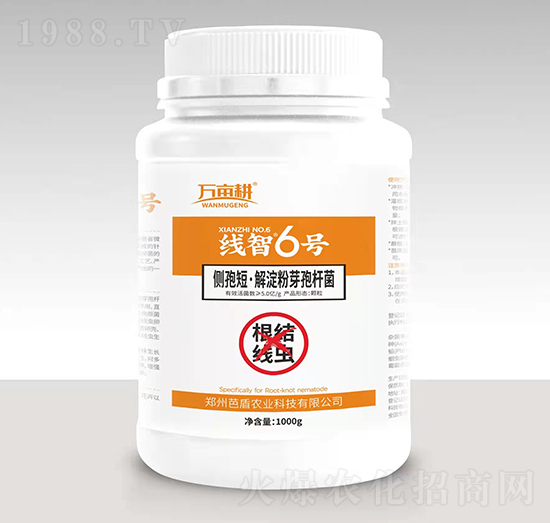 ���Y���x����-����6̖-��ķ������