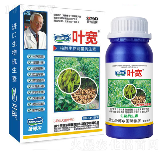 �����󶹌����~���-��������ø�T����-�~��-ʥ��������