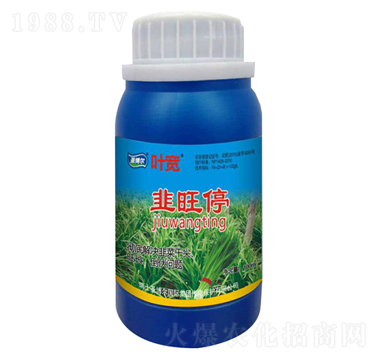 ����ͣ-�~��-ʥ��������