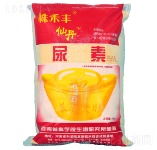 �ɵ�����-����S-��˹��