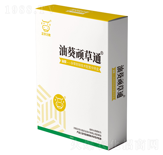 �Ϳ��B��ͨ-���A����