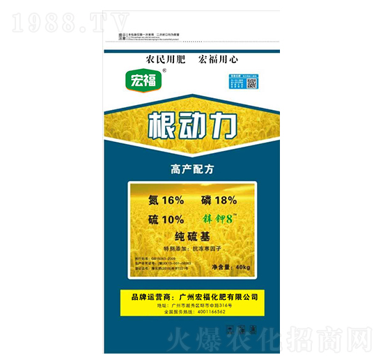 ����(d��ng)��-�긣����