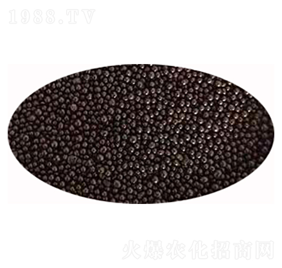 �����ЙC���w��-��ɏ���