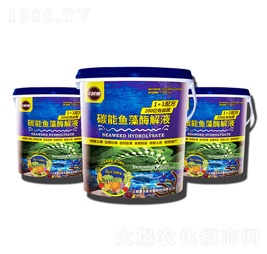 ̼���~(y��)��ø��Һ-������