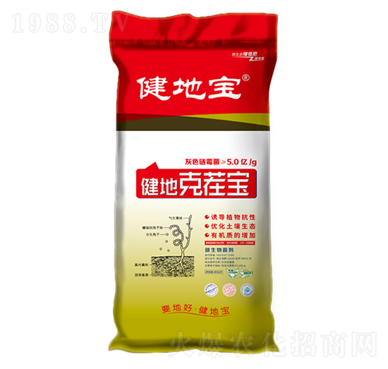 ���ؿ˲猚-���،�