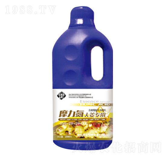 Ħ�����󽪌���׷��-������