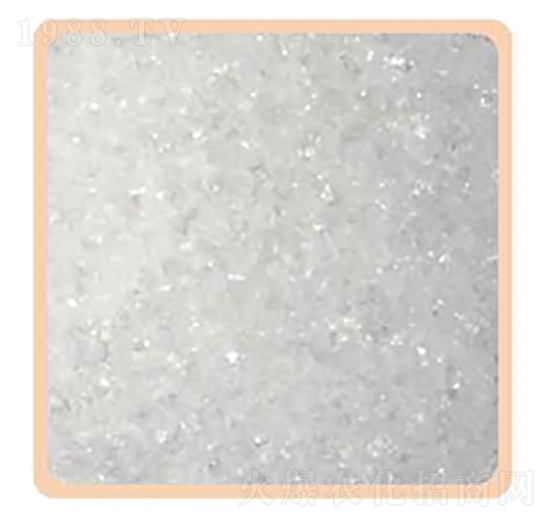 ������-���P����