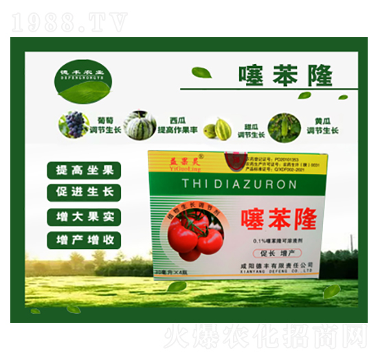 �籽¡-����`-���S