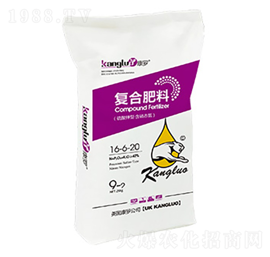 �ͺϷ���16-6-20-���_