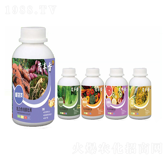 ���o�����ô߻���-ï�S��