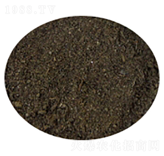 ��S��-�T������