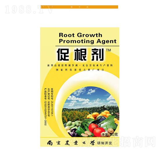 �ٸ���-���r�߿�