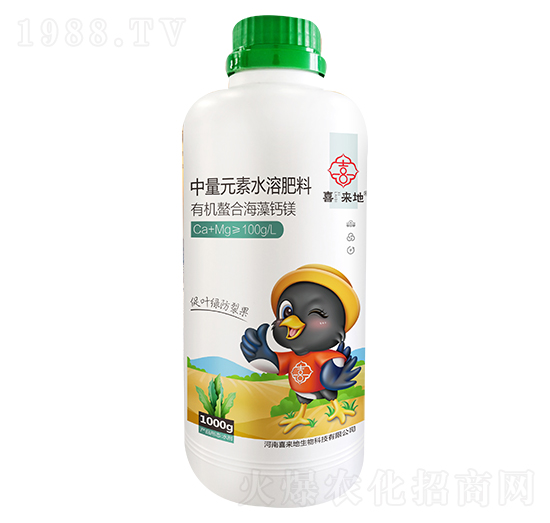 �ЙC(j��)���Ϻ����}�V-ϲ����