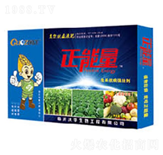 �߲ˌ������L������(qi��ng)�ф�-������