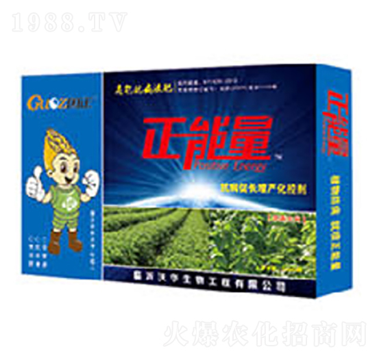 ��ɣ���ÿ������L���a(ch��n)���؄�-������