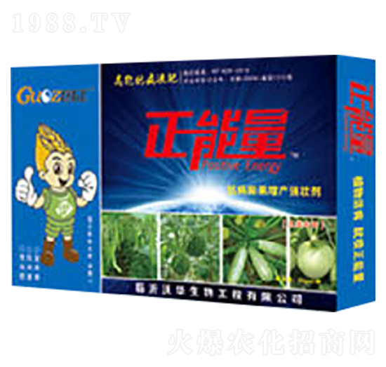 ����ÿ���������a���ф�-������