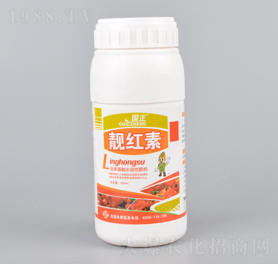 �n�t��-����-������