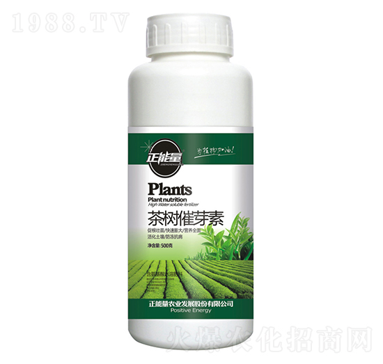 ���(sh��)��ѿ��-������