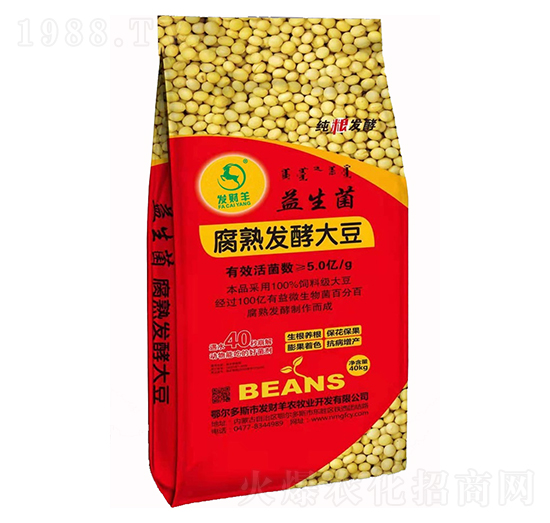 ����������l(f��)�ʹ�-�l(f��)ؔ��