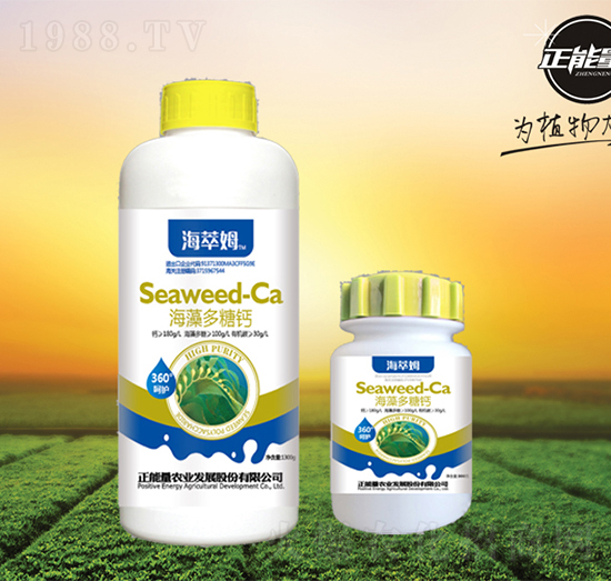 ��������}-����ķ-������