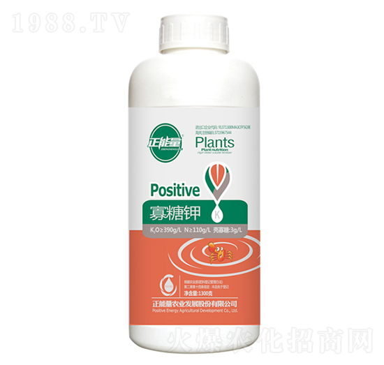 1300g�����-������