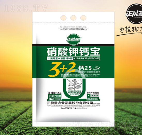 ������}��-������