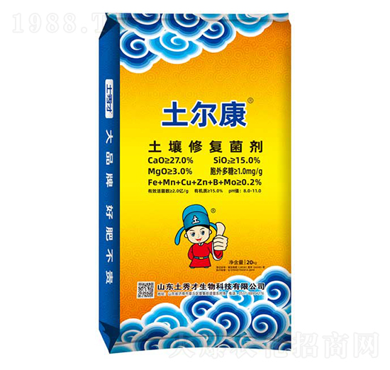 �����ޏ�(f��)����-������-�����