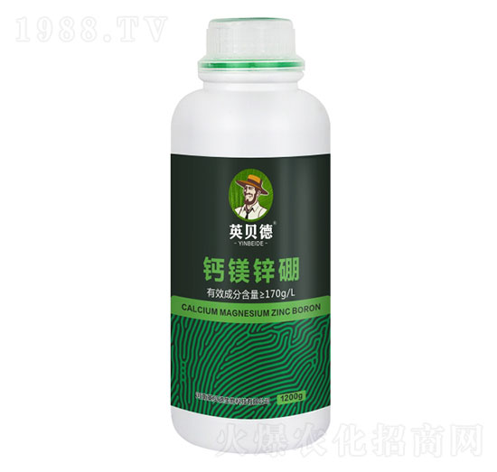 �}�V�\��-Ӣؐ��