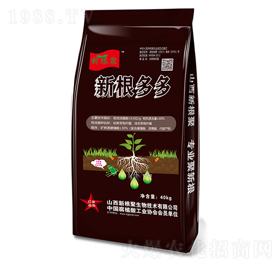 �¸����-�¸���